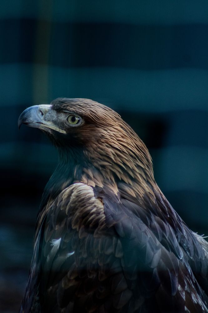 Photograph by Дмитрий Растихин