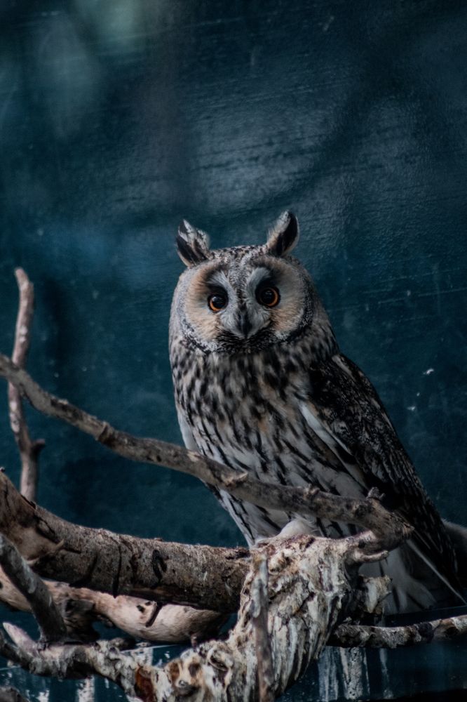 Photograph by Дмитрий Растихин