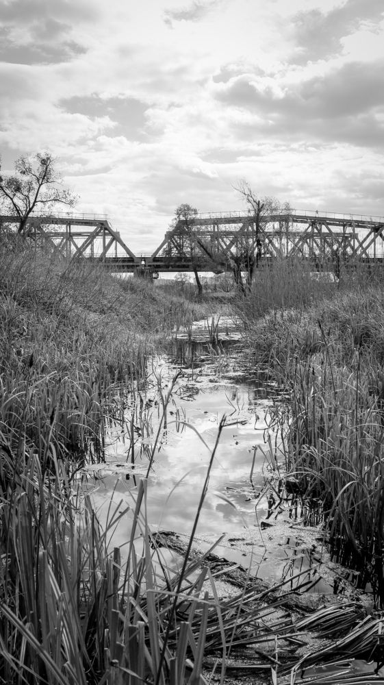 Photograph by Дмитрий Растихин