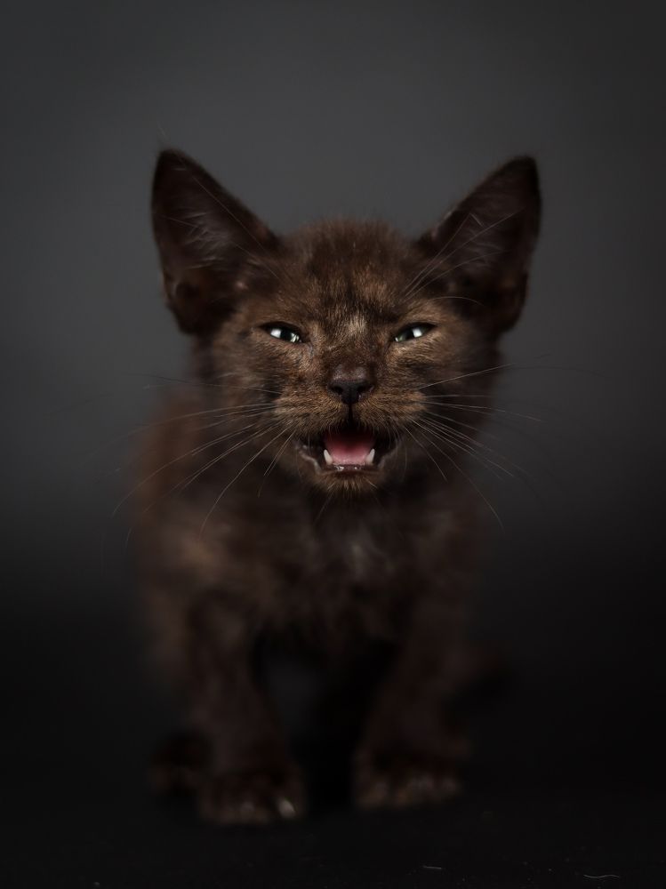 Photograph by Antonio Ros