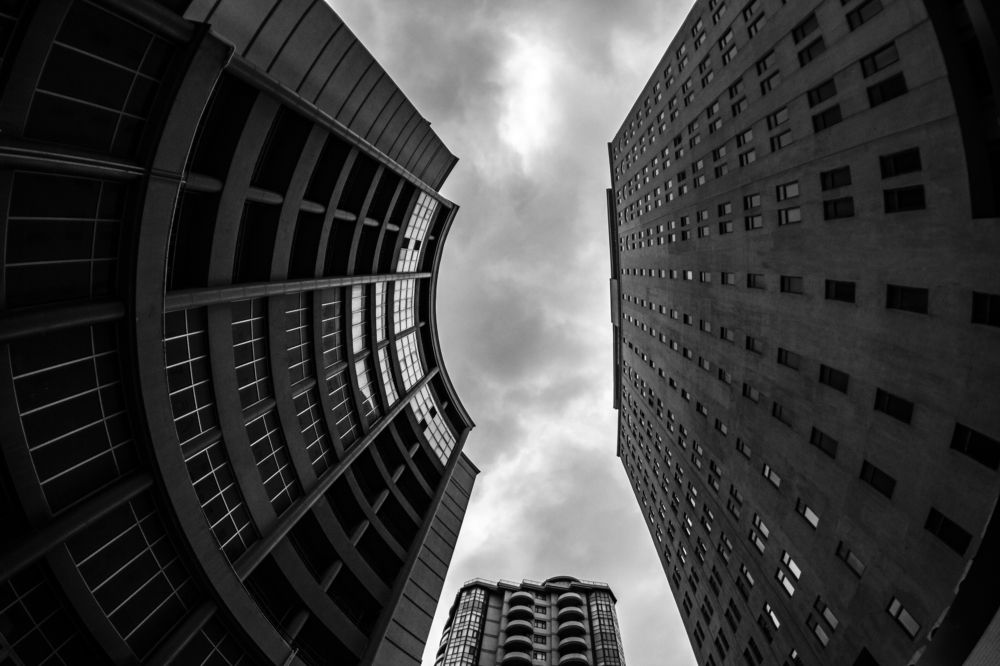 Photograph by Vision Sallys