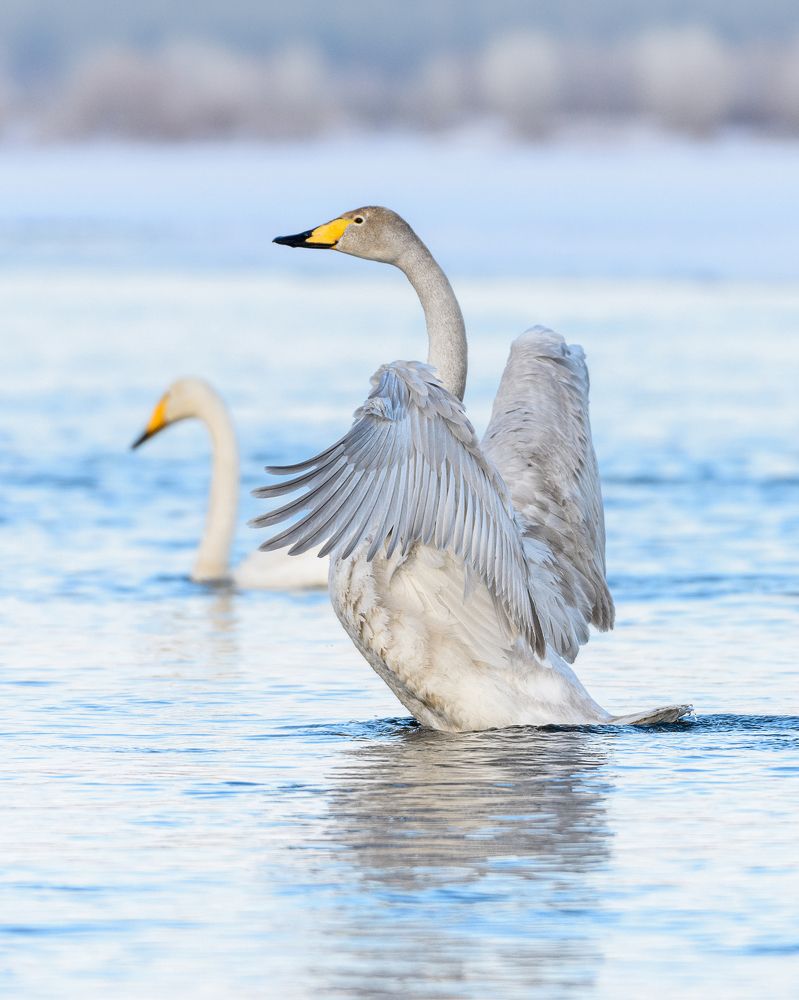 Фотография автора Владимир Зубков
