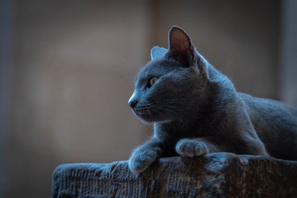 Photograph by Таймураз Гумеров