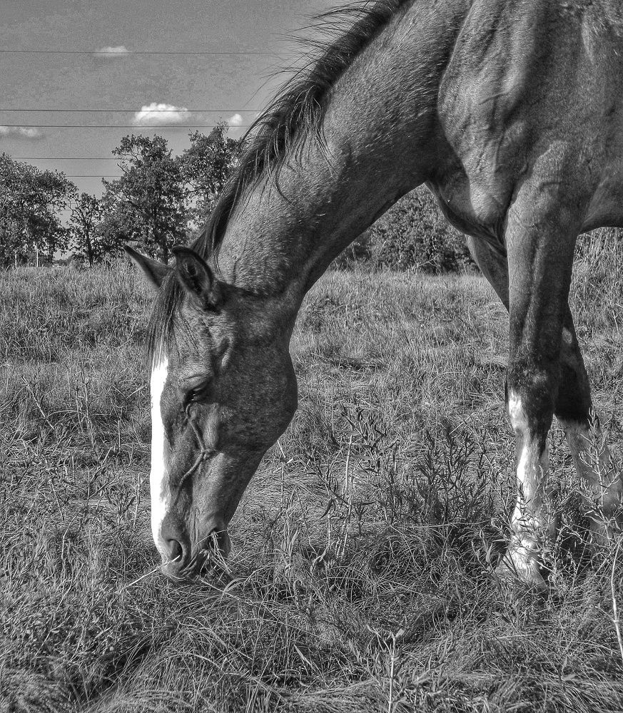 Photograph by Sergey Velichko