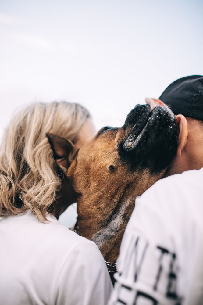 Photograph by Александр Назар