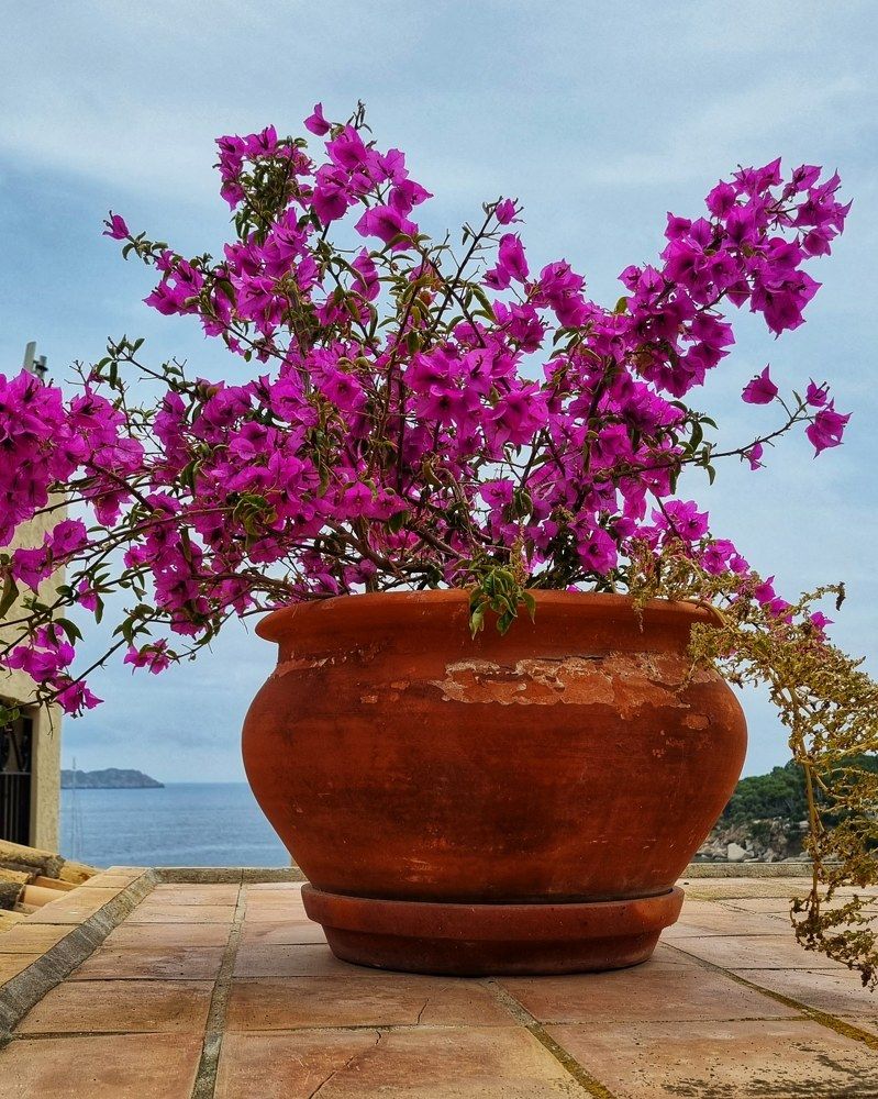 Photograph by Светлана