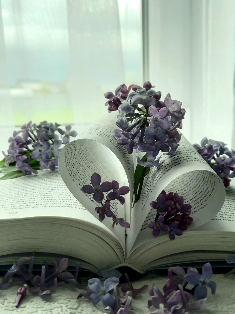 Photograph by Ольга