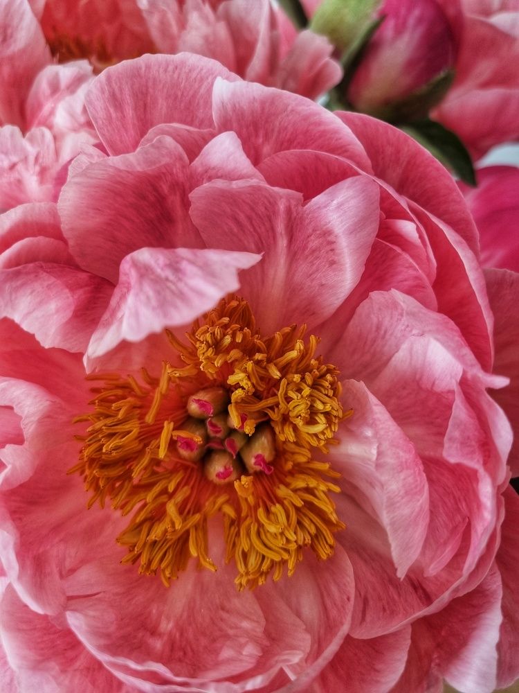 Photograph by Светлана