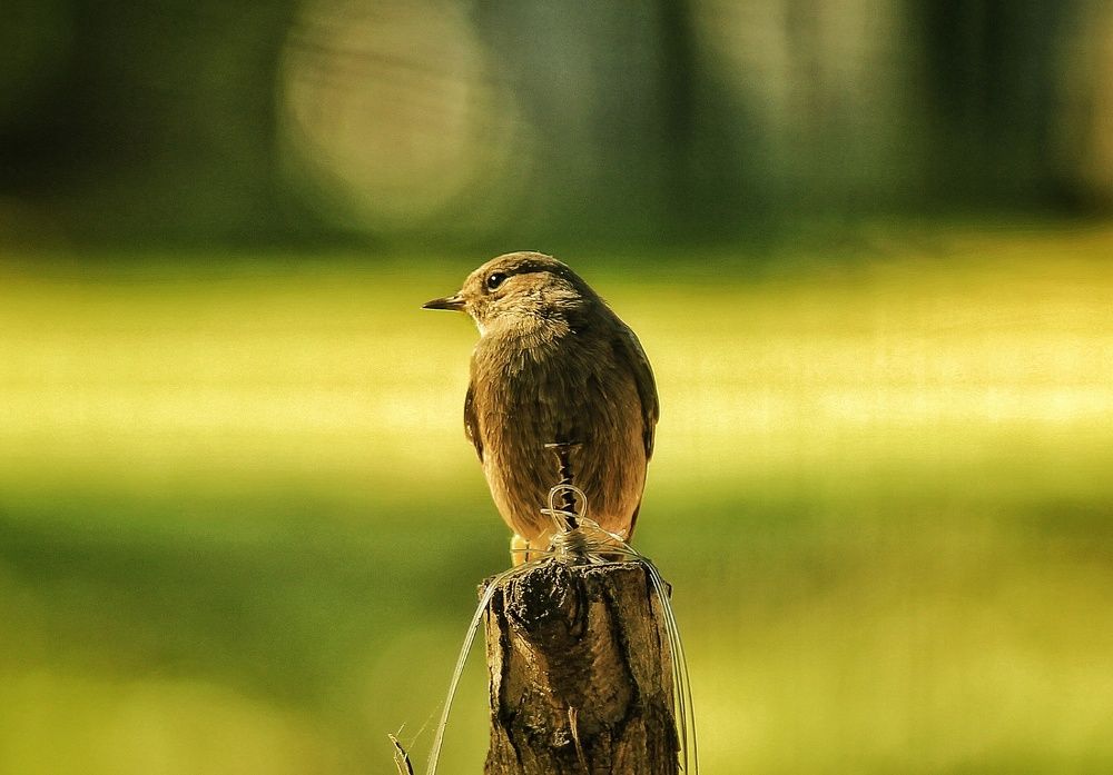 Photograph by Sergey Velichko