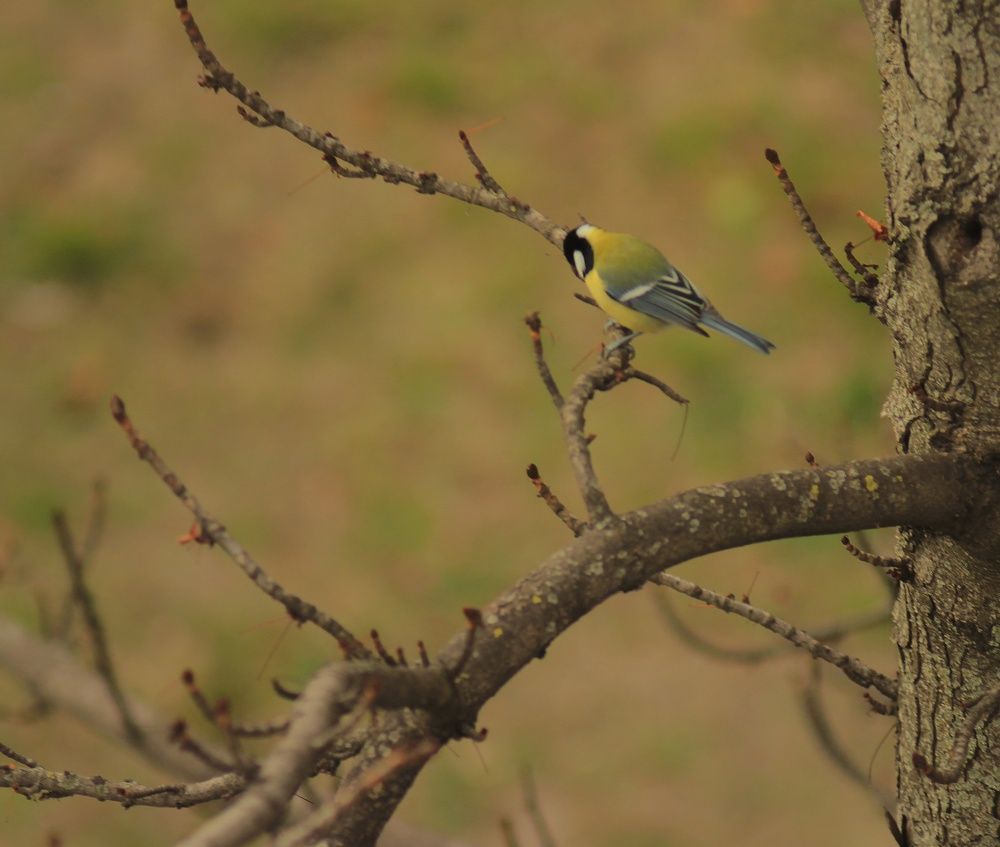 Photograph by Sergey Velichko