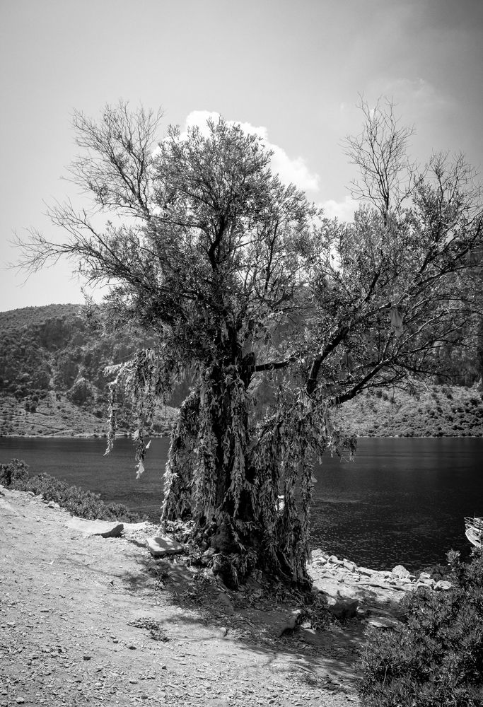 Photograph by Зураб Бабаев