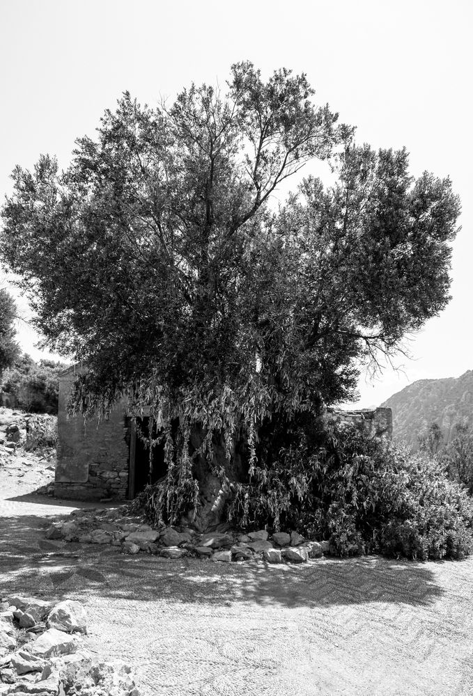 Photograph by Зураб Бабаев