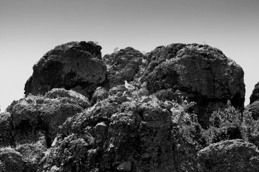 Photograph by Зураб Бабаев