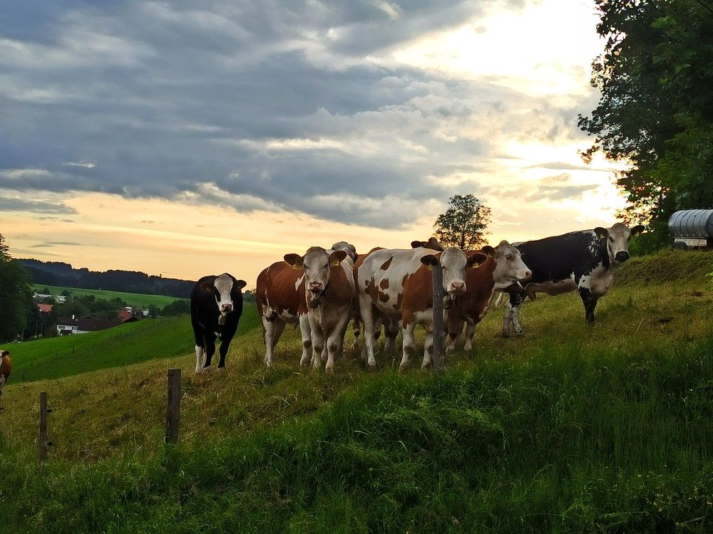 Photograph by Екатерина Шуляк