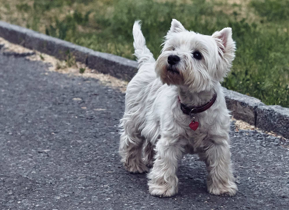 Photograph by Ольга Филатова