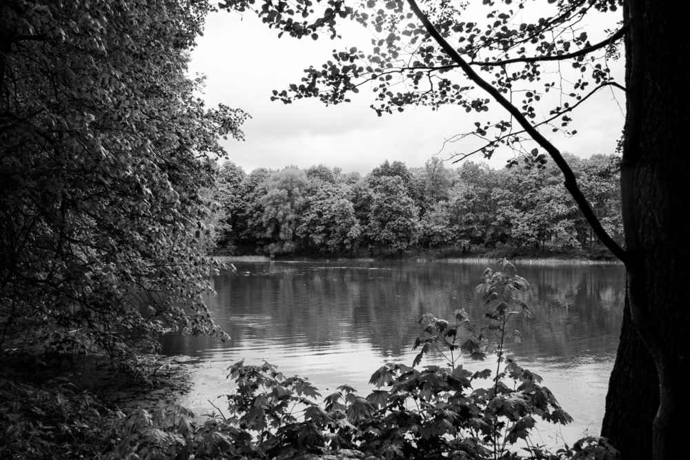 Photograph by Кристина Родина