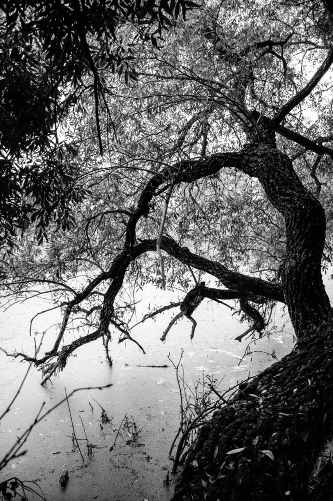 Photograph by Кристина Родина