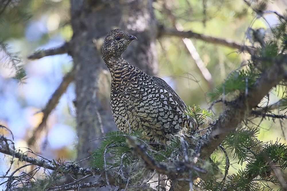 Photograph by Валерий Платонов