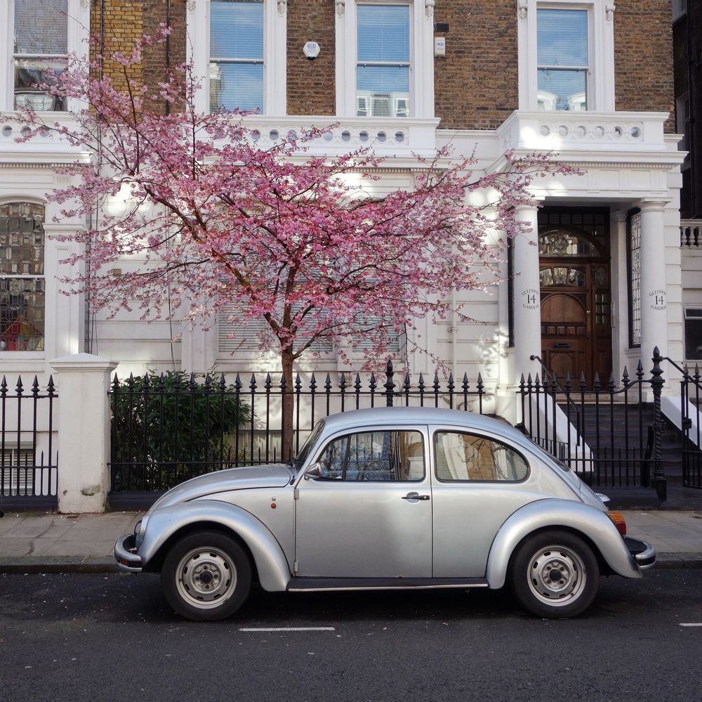 Photograph by Василий Селиванов