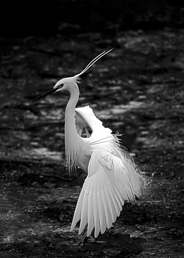 Photograph by HẢI DƯƠNG TRẤN