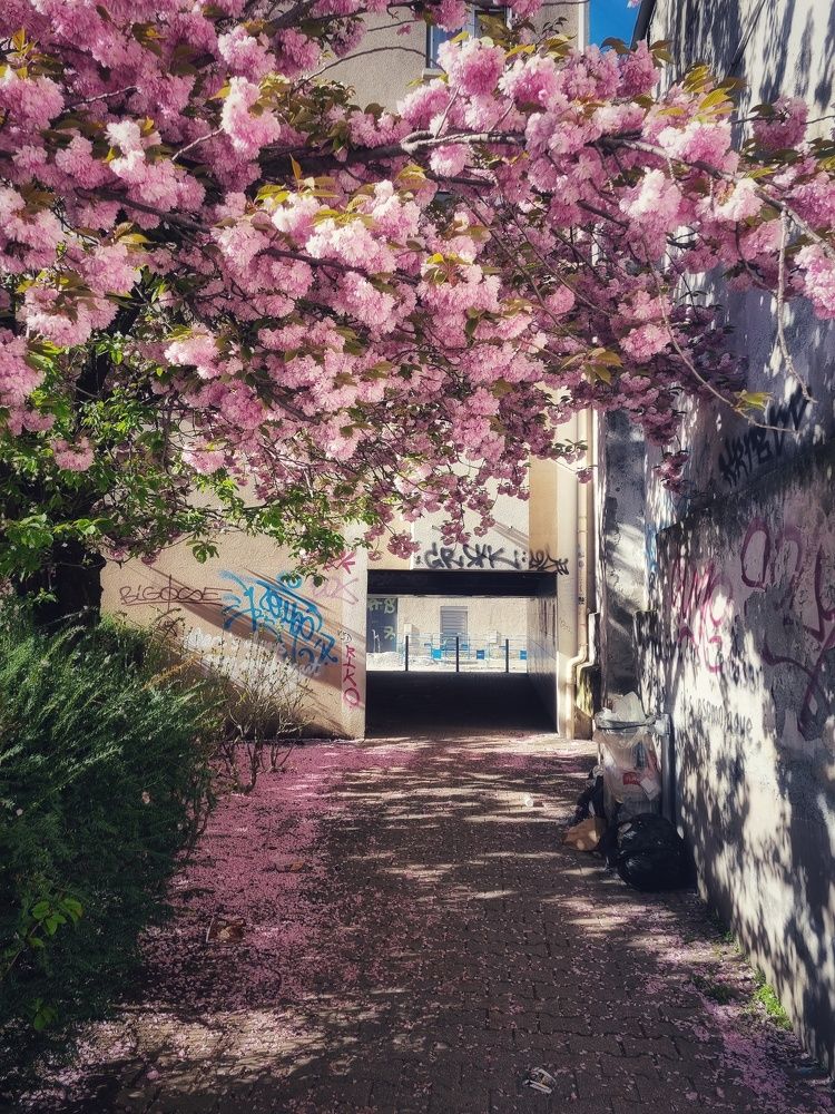 Photograph by Светлана