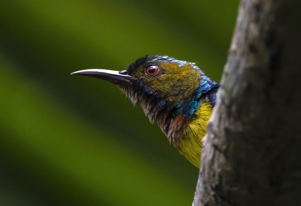 Photograph by HẢI DƯƠNG TRẤN