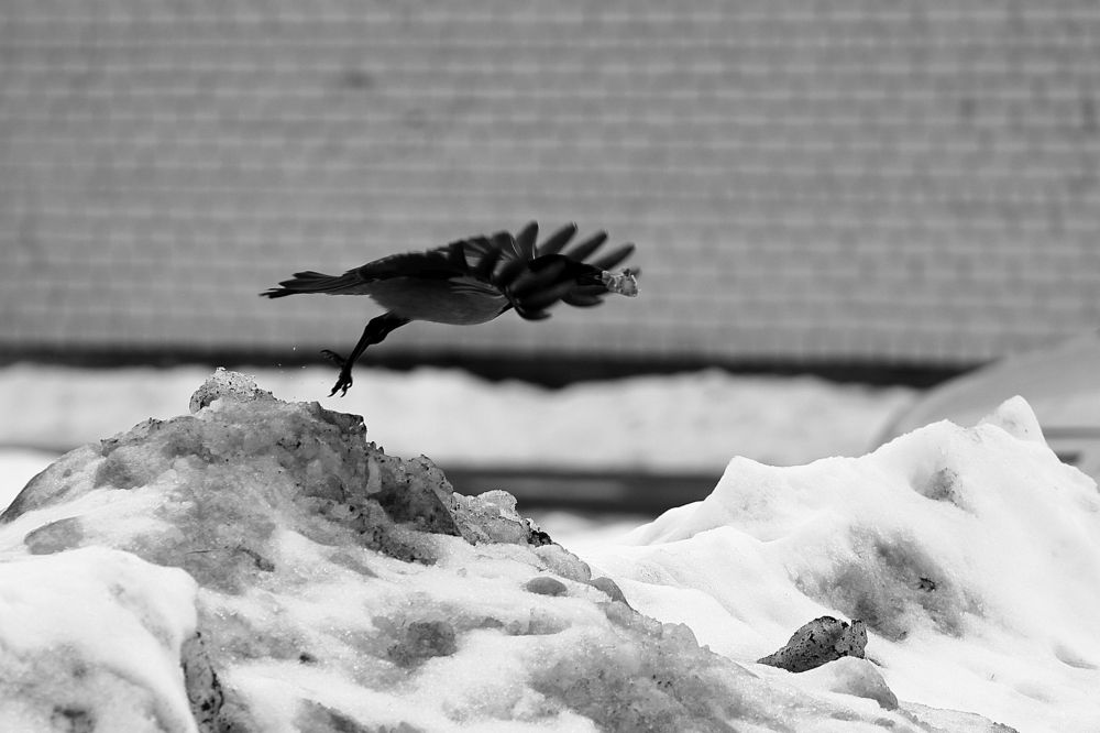 Photograph by VLADISLAVS MIKUSA