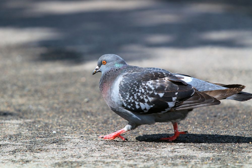 Photograph by VLADISLAVS MIKUSA