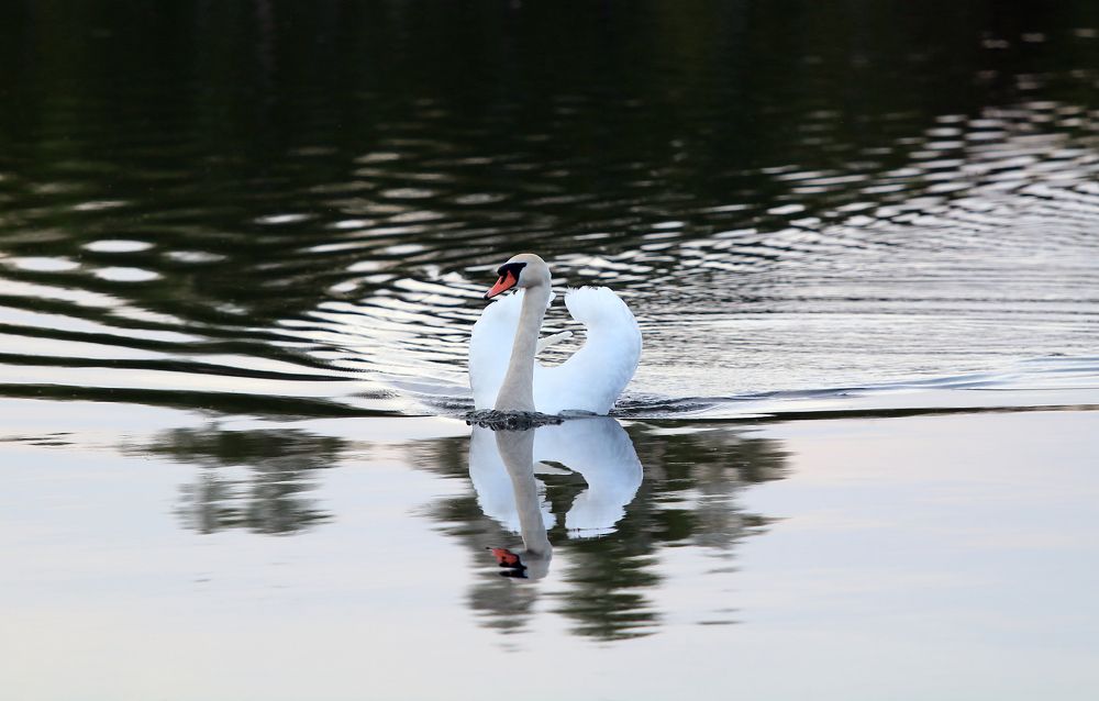 Photograph by VLADISLAVS MIKUSA