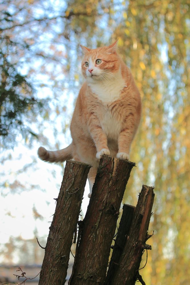 Photograph by VLADISLAVS MIKUSA