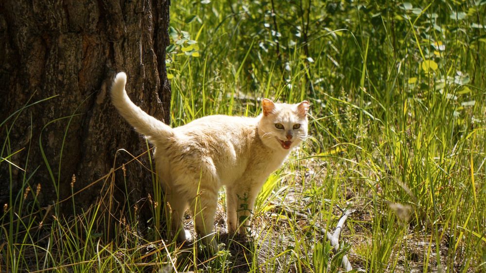 Photograph by Slesareva Nina