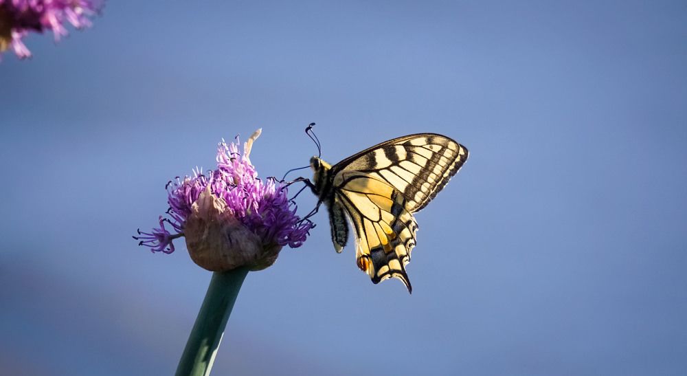 Photograph by Slesareva Nina