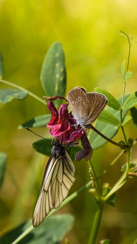 Photograph by Slesareva Nina