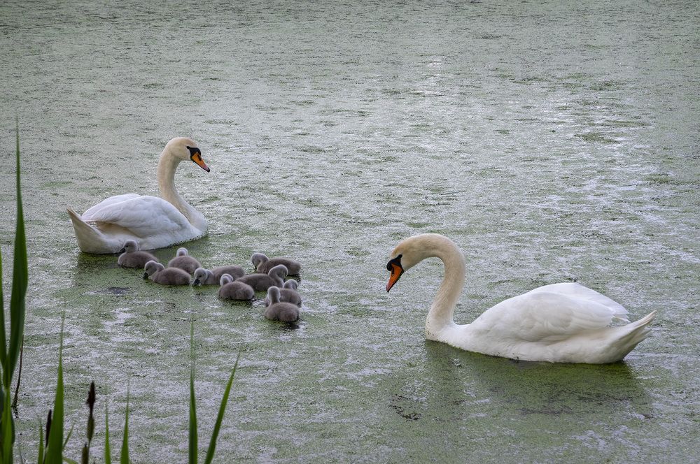 Photograph by Виктор Филипчук