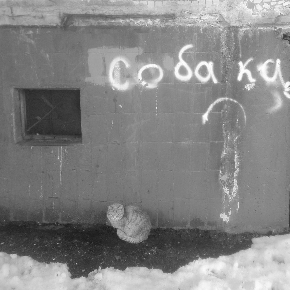 Photograph by Павел Колеснев