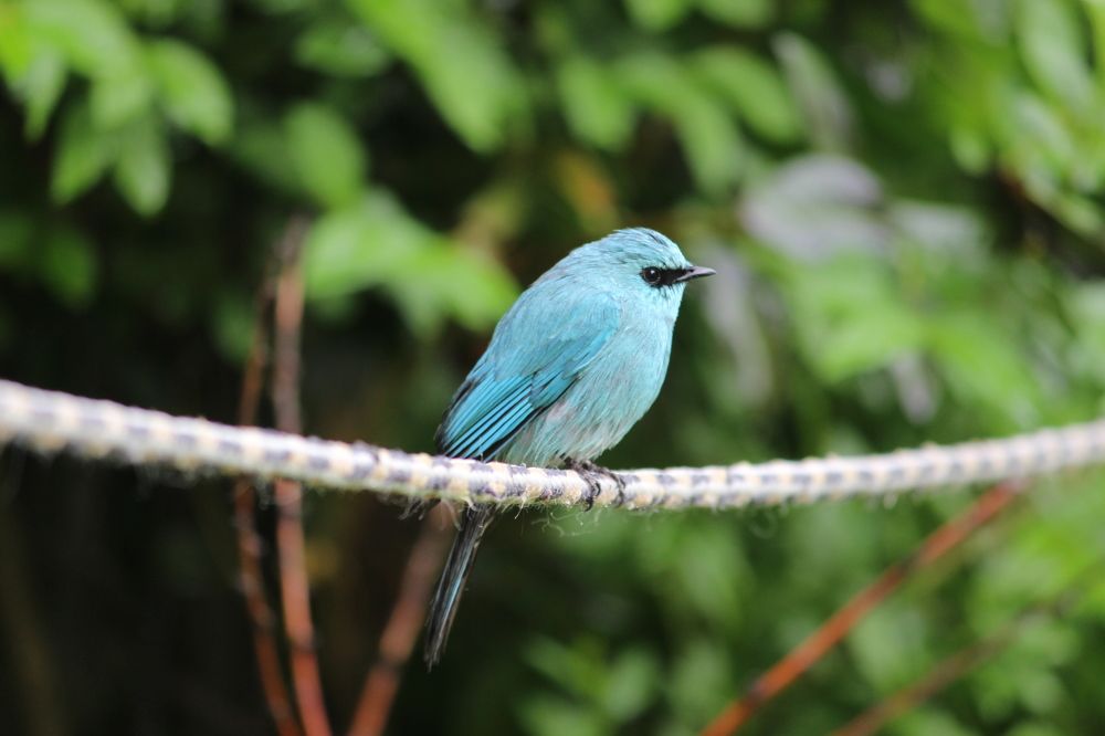 Photograph by Raja Faizan Haji