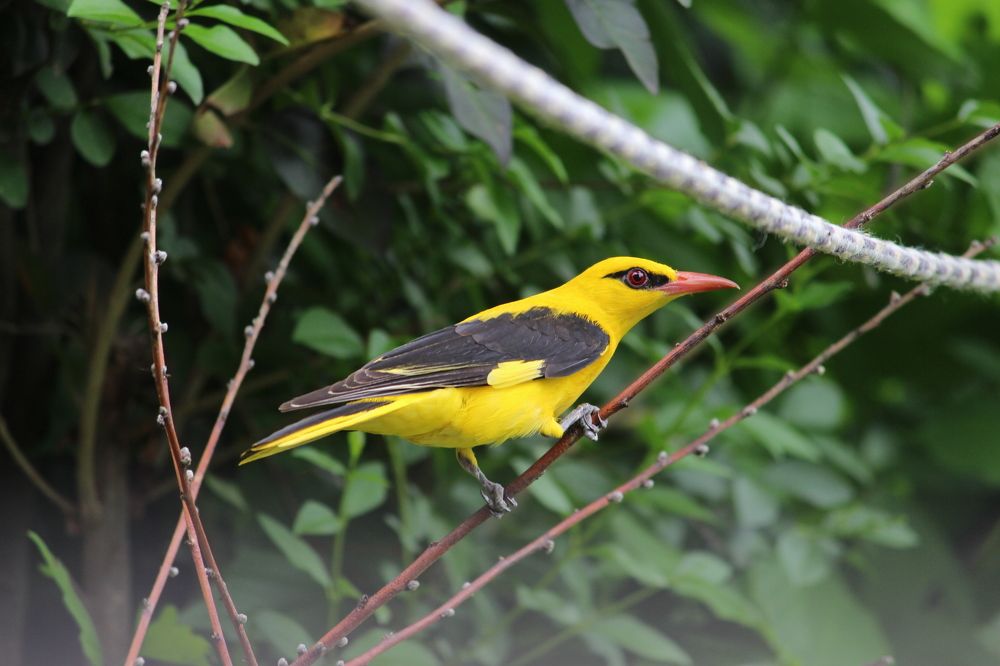 Photograph by Raja Faizan Haji