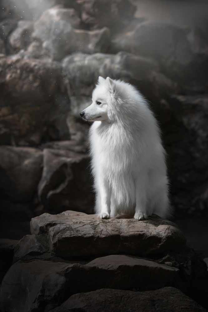 Photograph by Anna Oris