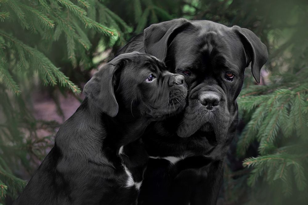 Photograph by Anna Oris