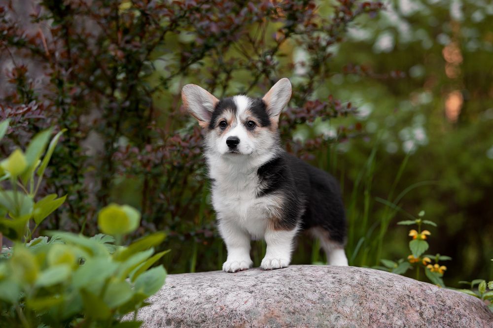 Photograph by Антон Базылевич