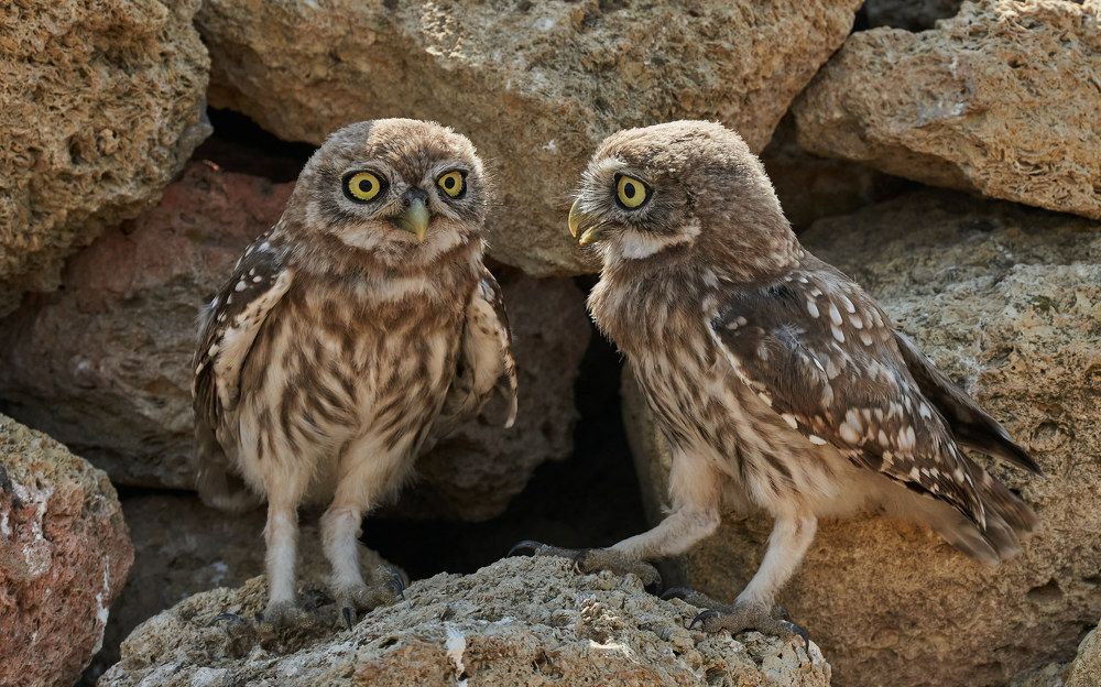 Серьезный разговор