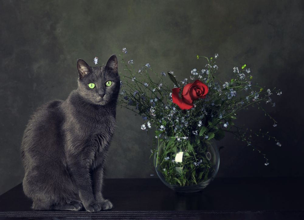 Photograph by Наталья