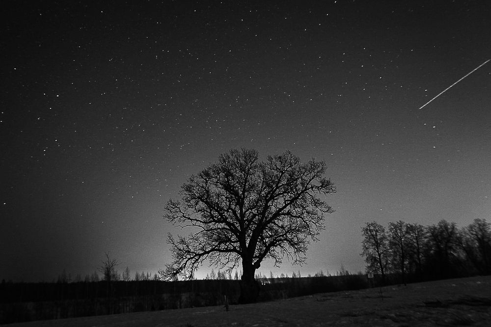 Photograph by Анатолий Буянов