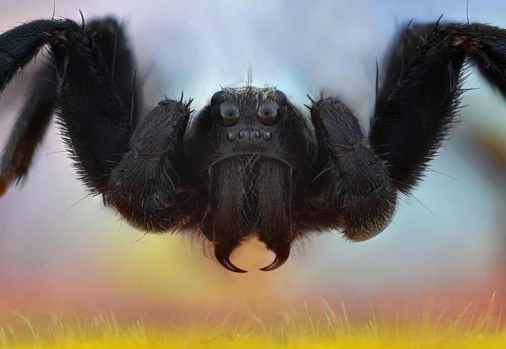 Photograph by Tsvetan Ganev