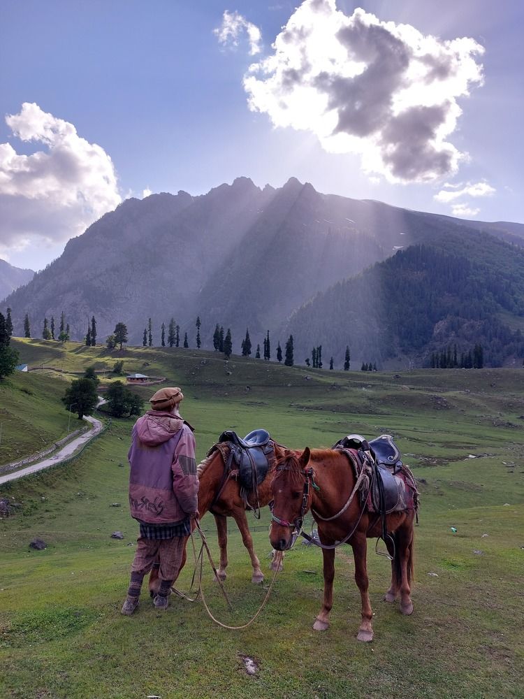 Photograph by Raja Faizan Haji