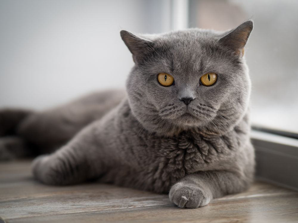 Photograph by Маргарита Ивкова