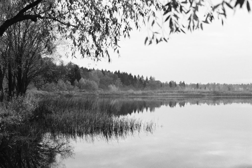 Photograph by Ekaterina Afanasyeva