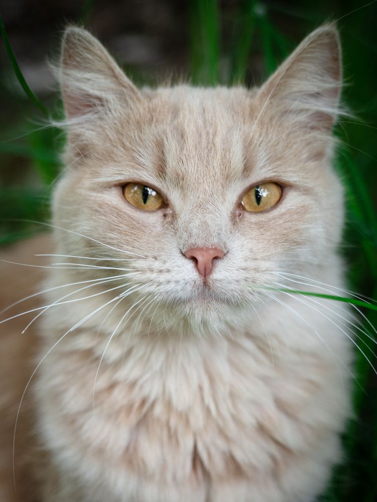 Photograph by Маргарита Ивкова