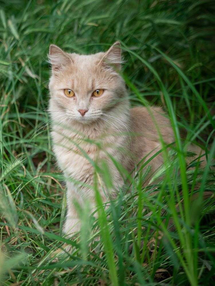 Photograph by Маргарита Ивкова