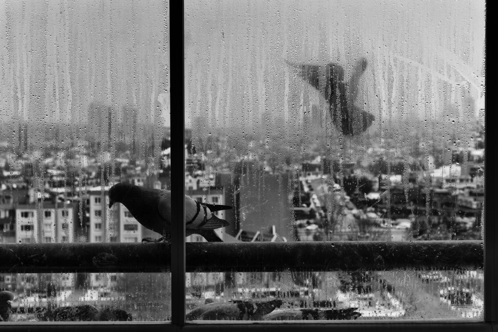 Photograph by Nesrin Ates